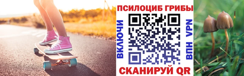 Псилоцибиновые грибы Cubensis  Темников 